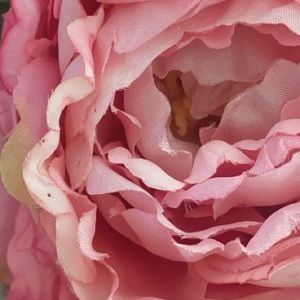 Meet your Posher, Zahra